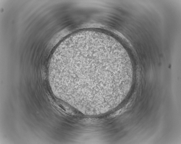 X0000087740929200706041033