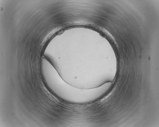 X0000087740930200706041033