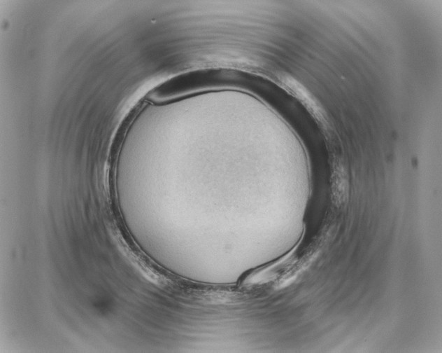 X0000087740932200706041033