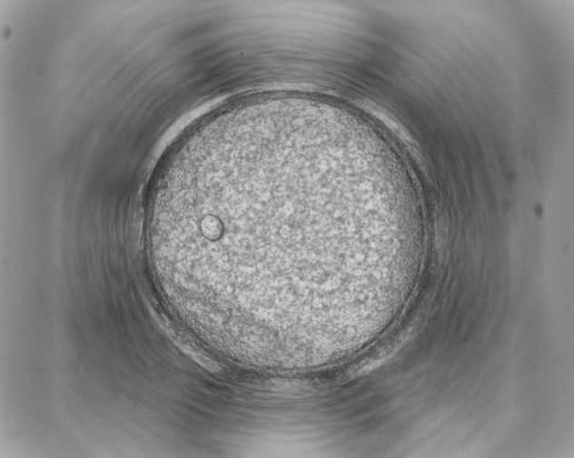 X0000087740933200706041033