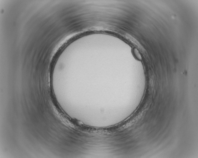 X0000087740934200706041033