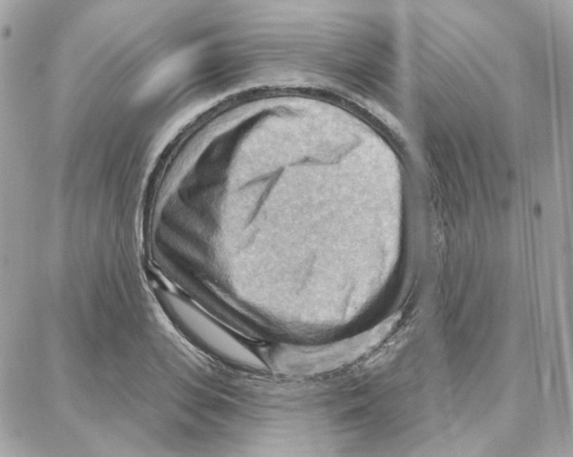 X0000087740935200706041033