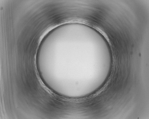 X0000087740936200706041033