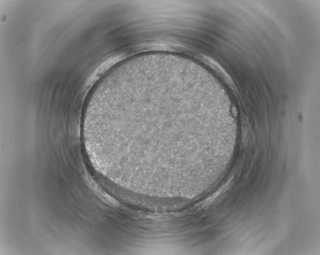 X0000087740938200706041033