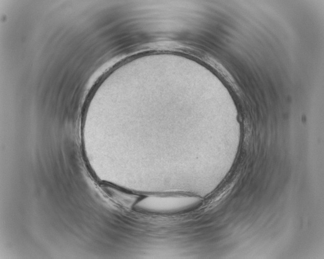 X0000087740939200706041033