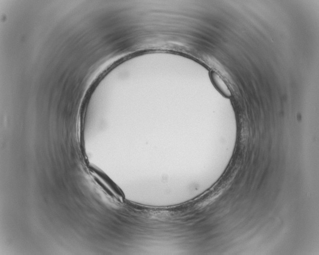 X0000087740940200706041033