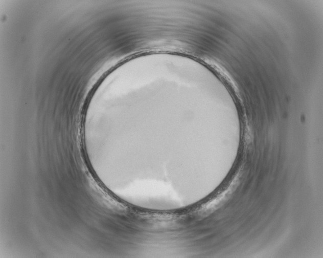 X0000087740941200706041033