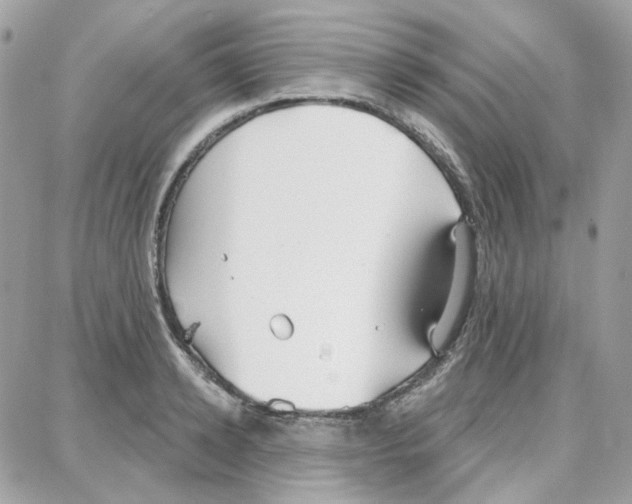 X0000087740942200706041033