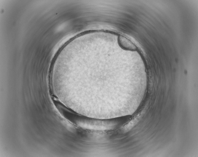 X0000087740943200706041033