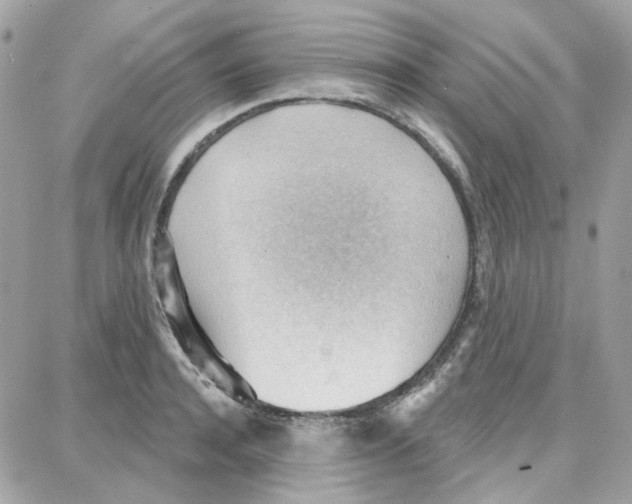 X0000087740944200706041033