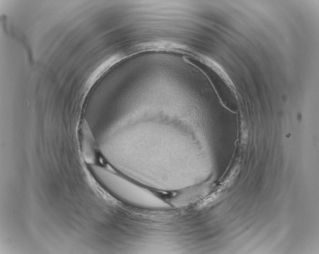 X0000087740946200706041033