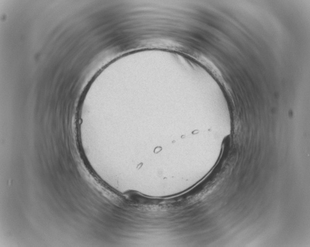 X0000087740947200706041033