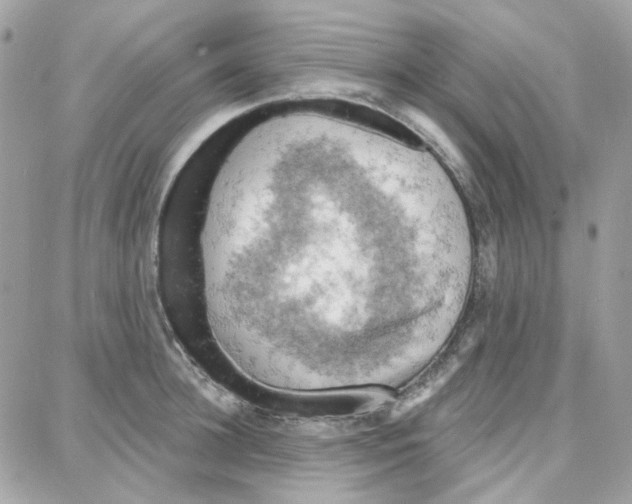 X0000087740948200706041033