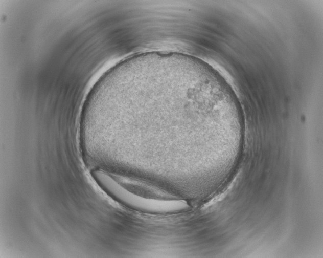 X0000087740949200706041033