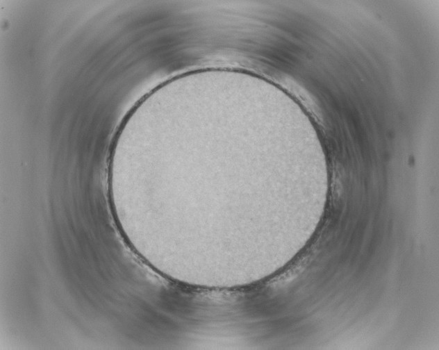 X0000087740950200706041033