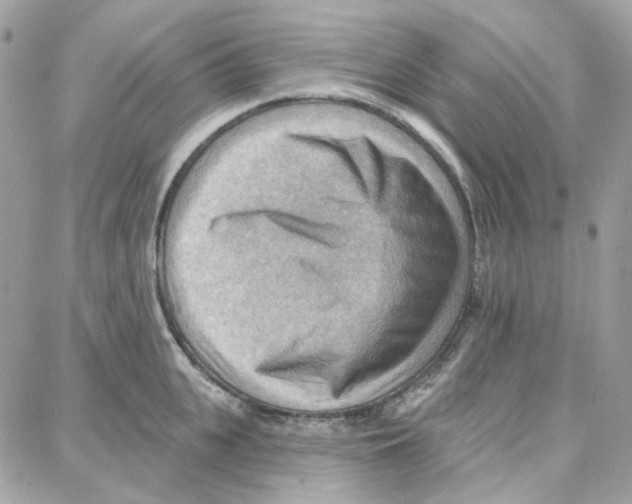 X0000087740951200706041033