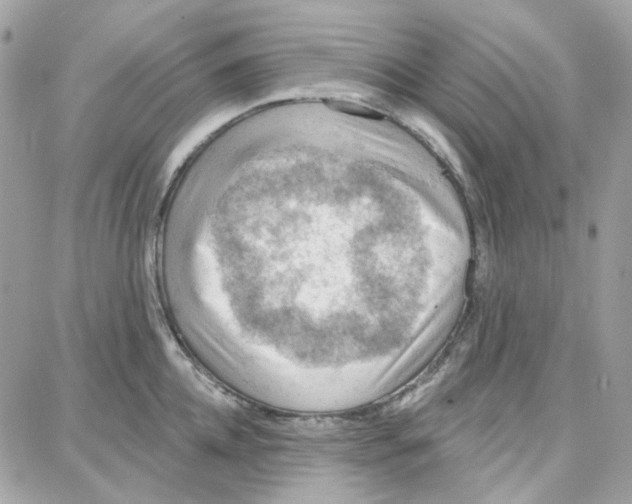 X0000087740952200706041033