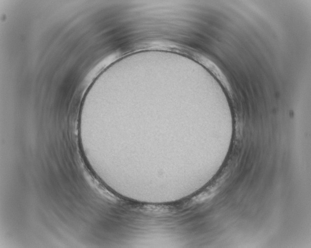 X0000087740954200706041033