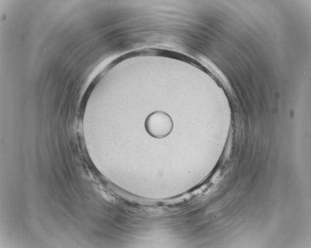 X0000087740956200706041033