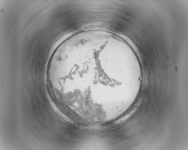 X0000087740957200706041033