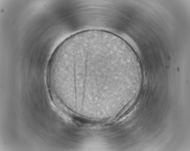 X0000087740958200706041033