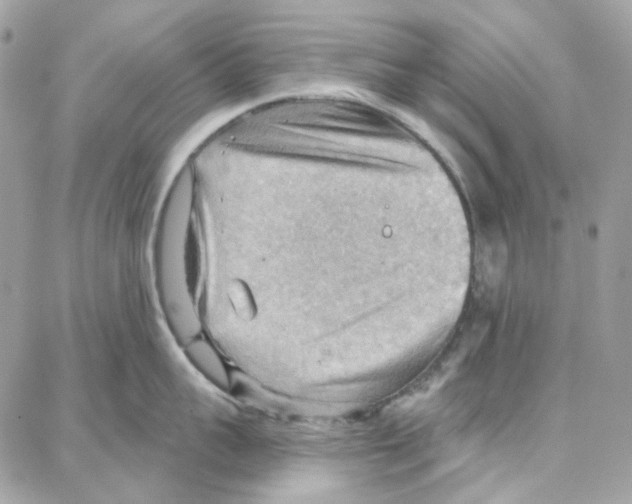 X0000087740959200706041033