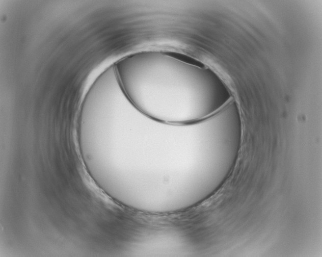 X0000087740960200706041033