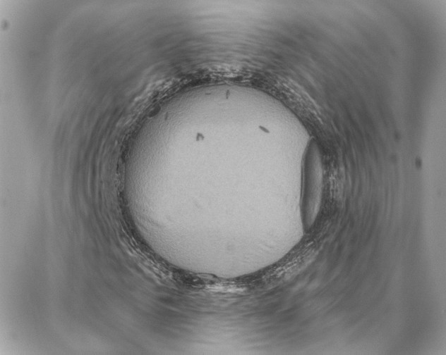 X0000087740961200706041033