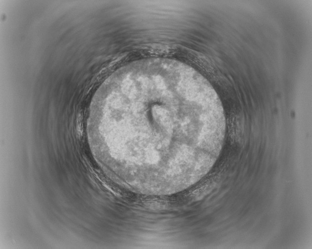 X0000087740962200706041033