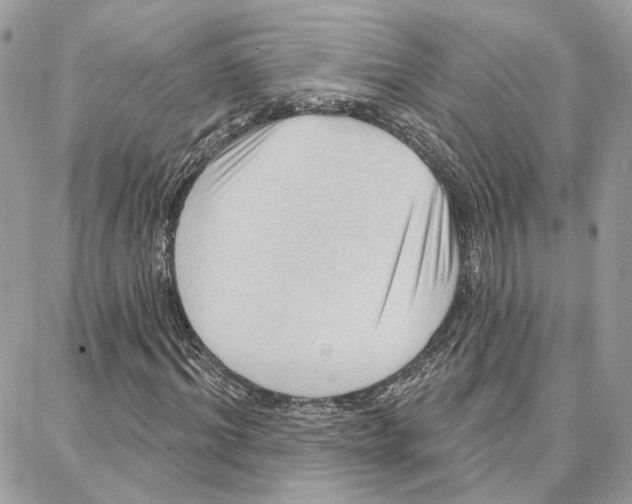 X0000087740964200706041033