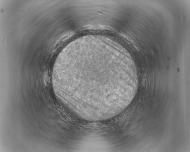 X0000087740966200706041033