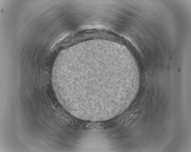 X0000087740967200706041033