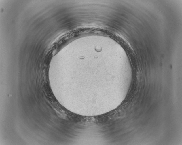 X0000087740968200706041033