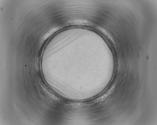 X0000087740970200706041032