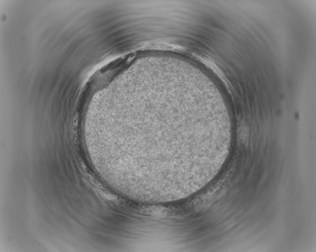 X0000087740971200706041032