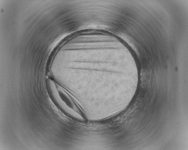 X0000087740972200706041032