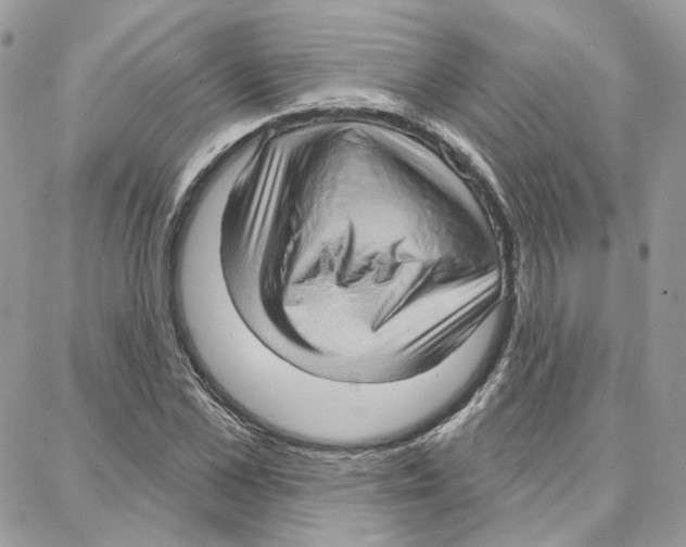 X0000087740973200706041032