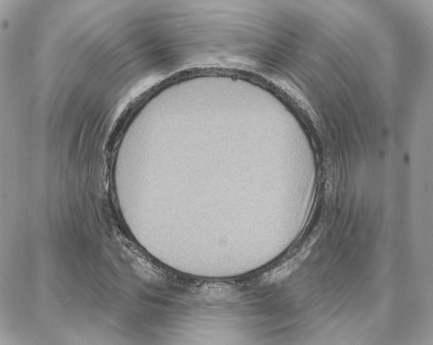 X0000087740974200706041032