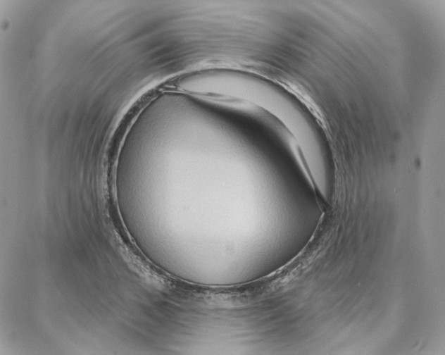 X0000087740976200706041032