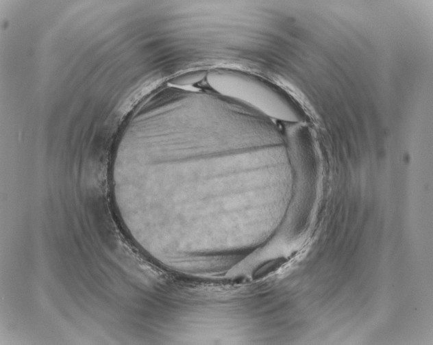 X0000087740977200706041032