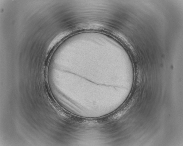 X0000087740978200706041032