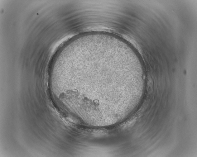 X0000087740979200706041032