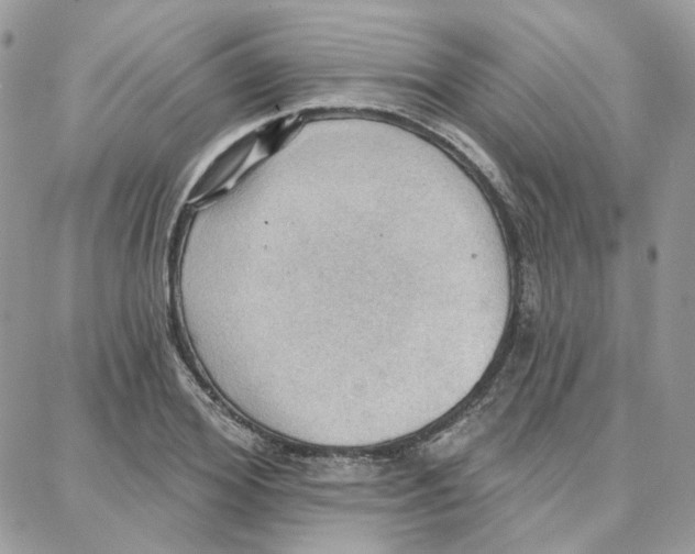 X0000087740980200706041032