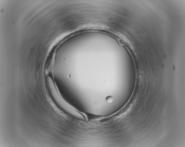 X0000087740981200706041032