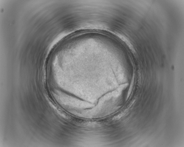 X0000087740982200706041032