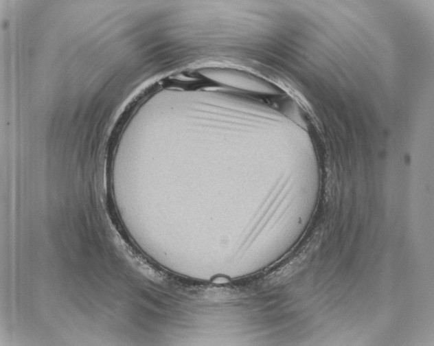 X0000087740984200706041032