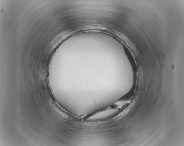 X0000087740985200706041032