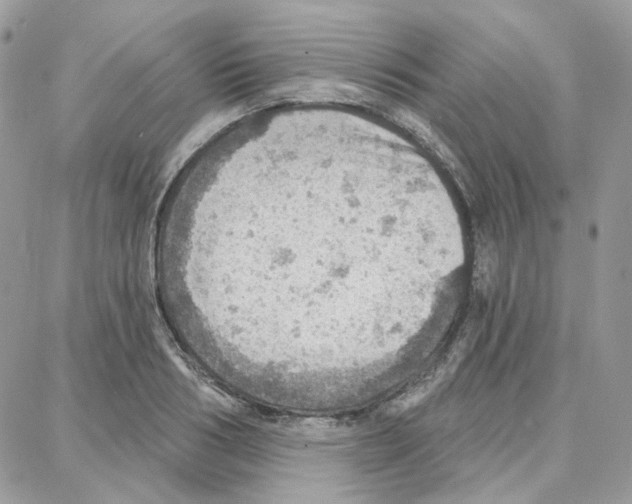 X0000087740986200706041032