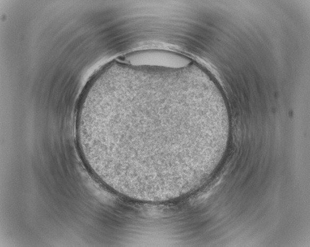 X0000087740987200706041032