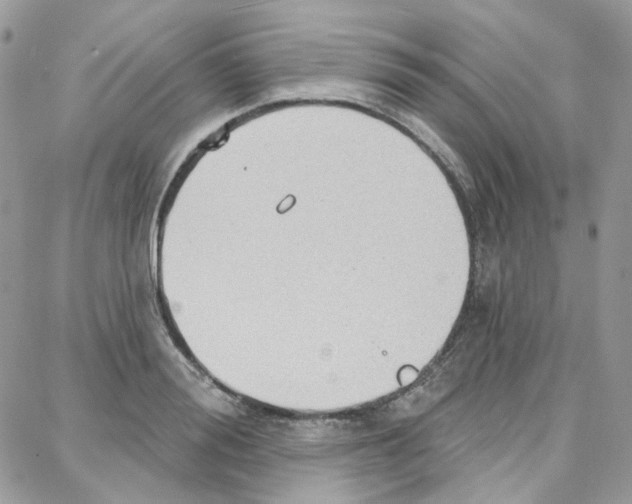 X0000087740988200706041032